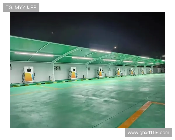 体育场馆内的智能充电桩布局技术谈